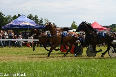 20250727_r05_121_DSC_6102.jpg