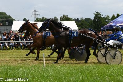 20250727_r05_123_DSC_6104.jpg