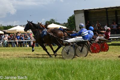 20250727_r05_126_DSC_6107.jpg