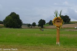 20250727_r05_006_DSC_5984.jpg