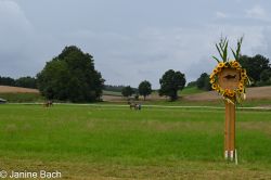 20250727_r05_007_DSC_5985.jpg