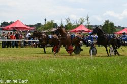 20250727_r05_119_DSC_6100.jpg
