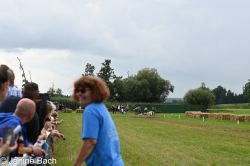 20250727_r06_002_DSC_6152.jpg
