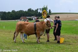 20250727_r06_053_DSC_6203.jpg