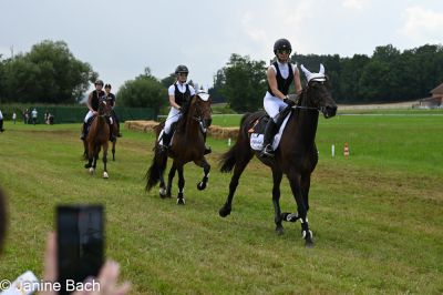 20250727_r08_006_DSC_6293.jpg