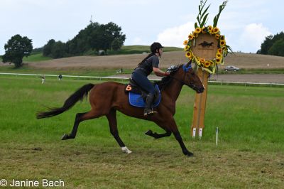 20250727_r08_040_DSC_6328.jpg