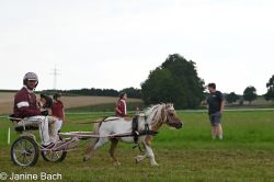 Dateiname=20250727_r14_125_DSC_6962.jpg
Dateigröße=415KB
Abmessungen: 1000x667
hinzugefügt am: 28. Juli 2025 20250727_r14_125_DSC_6962.jpg