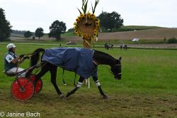 20250727_r15_126_DSC_7168.jpg