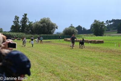 20250727_r17_005_DSC_7251.jpg