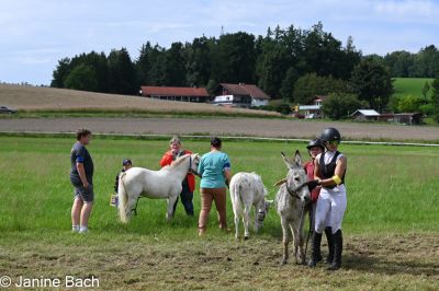 20250727_r17_026_DSC_7273.jpg