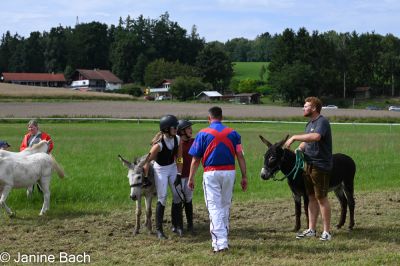 20250727_r17_029_DSC_7276.jpg