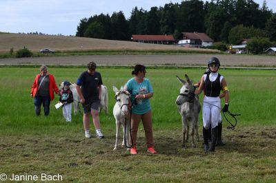 20250727_r17_040_DSC_7287.jpg