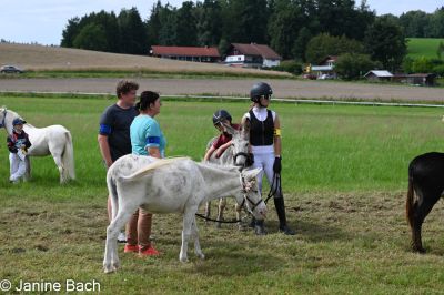 20250727_r17_048_DSC_7295.jpg