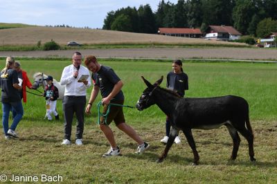 20250727_r17_053_DSC_7300.jpg