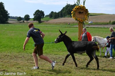 20250727_r17_056_DSC_7303.jpg