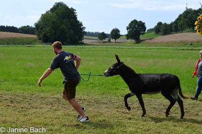 20250727_r17_058_DSC_7305.jpg