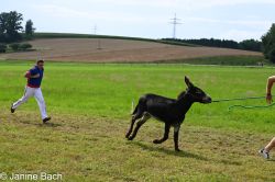 20250727_r17_010_DSC_7256.jpg