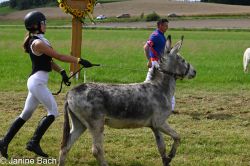 20250727_r17_017_DSC_7264.jpg