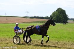 20250727_r18_023_DSC_7331.jpg