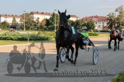 Dateiname=20250810_r06_007_R06_0014.jpg
Dateigröße=346KB
Abmessungen: 1000x667
hinzugefügt am: 17. August 2025 20250810_r06_007_R06_0014.jpg