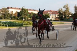 Dateiname=20250810_r07_011_R07_0020.jpg
Dateigröße=339KB
Abmessungen: 1000x667
hinzugefügt am: 17. August 2025 20250810_r07_011_R07_0020.jpg