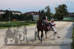 Dateiname=20250810_r10_125_R10_0200.jpg
Dateigröße=274KB
Abmessungen: 1000x667
hinzugefügt am: 17. August 2025 20250810_r10_125_R10_0200.jpg