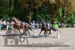 Dateiname=20250815_r04_031_R04_0236.jpg
Dateigröße=492KB
Abmessungen: 1000x667
hinzugefügt am: 17. August 2025 20250815_r04_031_R04_0236.jpg