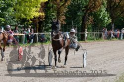 Dateiname=20250815_r04_034_R04_0240.jpg
Dateigröße=466KB
Abmessungen: 1000x667
hinzugefügt am: 17. August 2025 20250815_r04_034_R04_0240.jpg