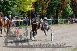 Dateiname=20250815_r04_035_R04_0241.jpg
Dateigröße=452KB
Abmessungen: 1000x667
hinzugefügt am: 17. August 2025 20250815_r04_035_R04_0241.jpg