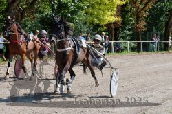 Dateiname=20250815_r04_037_R04_0244.jpg
Dateigröße=453KB
Abmessungen: 1000x667
hinzugefügt am: 17. August 2025 20250815_r04_037_R04_0244.jpg