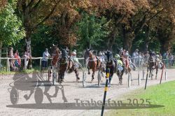 Dateiname=20250815_r04_038_R04_0245.jpg
Dateigröße=505KB
Abmessungen: 1000x667
hinzugefügt am: 17. August 2025 20250815_r04_038_R04_0245.jpg