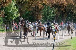 Dateiname=20250815_r04_040_R04_0248.jpg
Dateigröße=503KB
Abmessungen: 1000x667
hinzugefügt am: 17. August 2025 20250815_r04_040_R04_0248.jpg