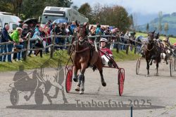 Dateiname=20251005_r01_090_R01_0197.jpg
Dateigröße=394KB
Abmessungen: 1000x667
hinzugefügt am: 06. Oktober 2025 20251005_r01_090_R01_0197.jpg