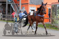 Dateiname=20251005_r02_002_R02_0008.jpg
Dateigröße=372KB
Abmessungen: 1000x667
hinzugefügt am: 06. Oktober 2025 20251005_r02_002_R02_0008.jpg