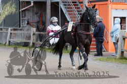 Dateiname=20251005_r02_006_R02_0018.jpg
Dateigröße=335KB
Abmessungen: 1000x667
hinzugefügt am: 06. Oktober 2025 20251005_r02_006_R02_0018.jpg