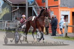 Dateiname=20251005_r02_007_R02_0020.jpg
Dateigröße=322KB
Abmessungen: 1000x667
hinzugefügt am: 06. Oktober 2025 20251005_r02_007_R02_0020.jpg