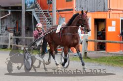 Dateiname=20251005_r02_008_R02_0022.jpg
Dateigröße=328KB
Abmessungen: 1000x667
hinzugefügt am: 06. Oktober 2025 20251005_r02_008_R02_0022.jpg