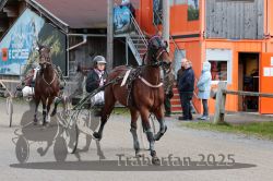 Dateiname=20251005_r02_009_R02_0024.jpg
Dateigröße=352KB
Abmessungen: 1000x667
hinzugefügt am: 06. Oktober 2025 20251005_r02_009_R02_0024.jpg