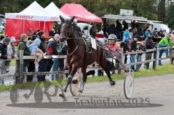 Dateiname=20251005_r02_027_R02_0062.jpg
Dateigröße=375KB
Abmessungen: 1000x667
hinzugefügt am: 06. Oktober 2025 20251005_r02_027_R02_0062.jpg