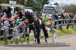 Dateiname=20251005_r02_138_R02_0208.jpg
Dateigröße=416KB
Abmessungen: 1000x667
hinzugefügt am: 06. Oktober 2025 20251005_r02_138_R02_0208.jpg