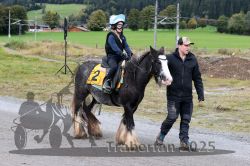 Dateiname=20251005_r03_001_R03_0001.jpg
Dateigröße=381KB
Abmessungen: 1000x667
hinzugefügt am: 06. Oktober 2025 20251005_r03_001_R03_0001.jpg