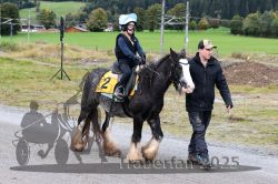 Dateiname=20251005_r03_002_R03_0003.jpg
Dateigröße=392KB
Abmessungen: 1000x667
hinzugefügt am: 06. Oktober 2025 20251005_r03_002_R03_0003.jpg