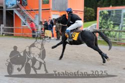 Dateiname=20251005_r03_038_R03_0056.jpg
Dateigröße=274KB
Abmessungen: 1000x667
hinzugefügt am: 06. Oktober 2025 20251005_r03_038_R03_0056.jpg