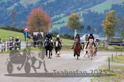 Dateiname=20251005_r03_040_R03_0060.jpg
Dateigröße=316KB
Abmessungen: 1000x667
hinzugefügt am: 06. Oktober 2025 20251005_r03_040_R03_0060.jpg