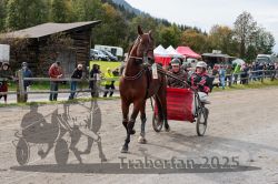 Dateiname=20251005_r04_024_R04_0056.jpg
Dateigröße=393KB
Abmessungen: 1000x667
hinzugefügt am: 06. Oktober 2025 20251005_r04_024_R04_0056.jpg