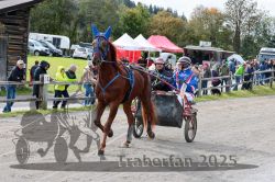 Dateiname=20251005_r04_026_R04_0058.jpg
Dateigröße=416KB
Abmessungen: 1000x667
hinzugefügt am: 06. Oktober 2025 20251005_r04_026_R04_0058.jpg