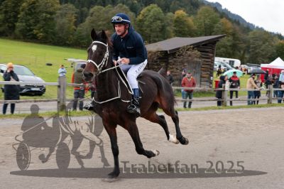 20251005_r06_011_R04_0015.jpg