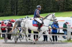 Dateiname=20251005_r06_014_R04_0019.jpg
Dateigröße=340KB
Abmessungen: 1000x667
hinzugefügt am: 06. Oktober 2025 20251005_r06_014_R04_0019.jpg