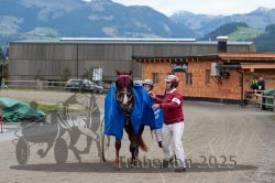 Dateiname=20251005_r07_162_R07_0256.jpg
Dateigröße=297KB
Abmessungen: 1000x667
hinzugefügt am: 06. Oktober 2025 20251005_r07_162_R07_0256.jpg