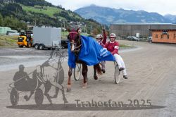 Dateiname=20251005_r07_165_R07_0260.jpg
Dateigröße=326KB
Abmessungen: 1000x667
hinzugefügt am: 06. Oktober 2025 20251005_r07_165_R07_0260.jpg